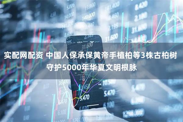 实配网配资 中国人保承保黄帝手植柏等3株古柏树 守护5000年华夏文明根脉