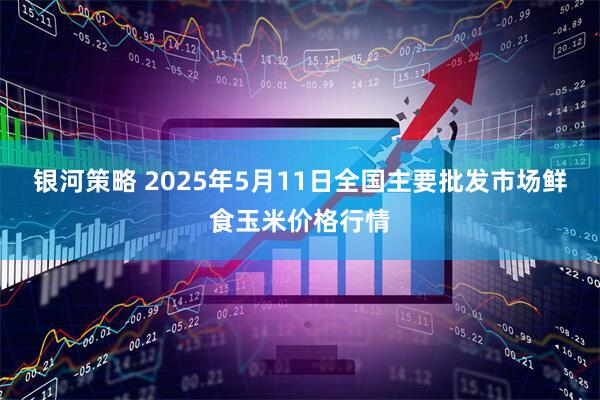 银河策略 2025年5月11日全国主要批发市场鲜食玉米价格行情