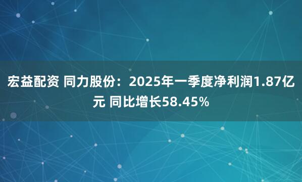 宏益配资 同力股份：2025年一季度净利润1.87亿元 同比增长58.45%