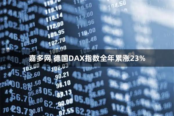 嘉多网 德国DAX指数全年累涨23%